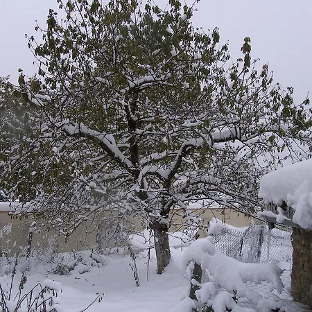 Cellier De La Fontaine Holiday home Saint-Georges-en-Couzan