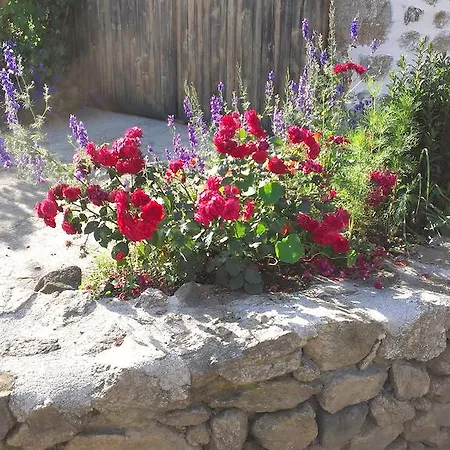 Holiday home Cellier De La Fontaine *