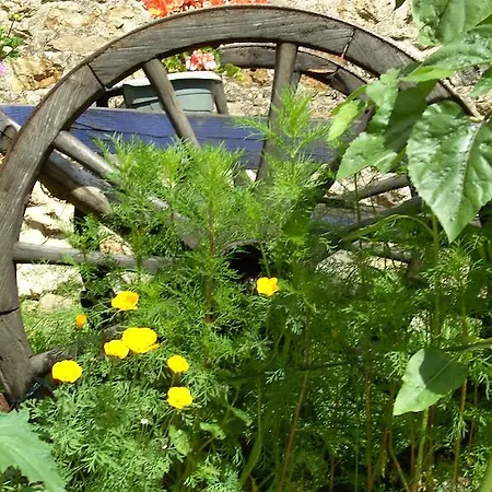 Holiday home Cellier De La Fontaine *